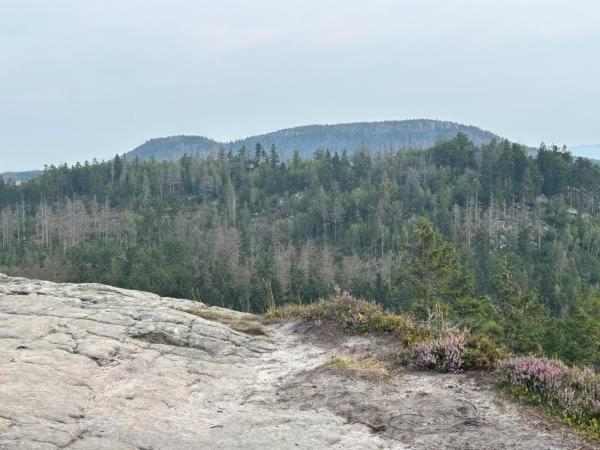 Sudecka K0rona Caloroczne Chalet Bad Altheide